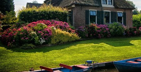 5 Reasons For Lawn Care| Blog | Lawn & Pest Control Xperts