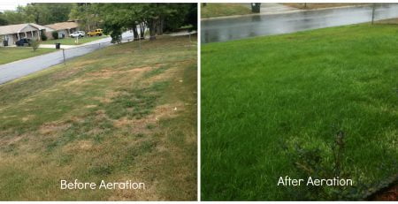 Aeration | Blog | Lawn & Pest Control Xperts