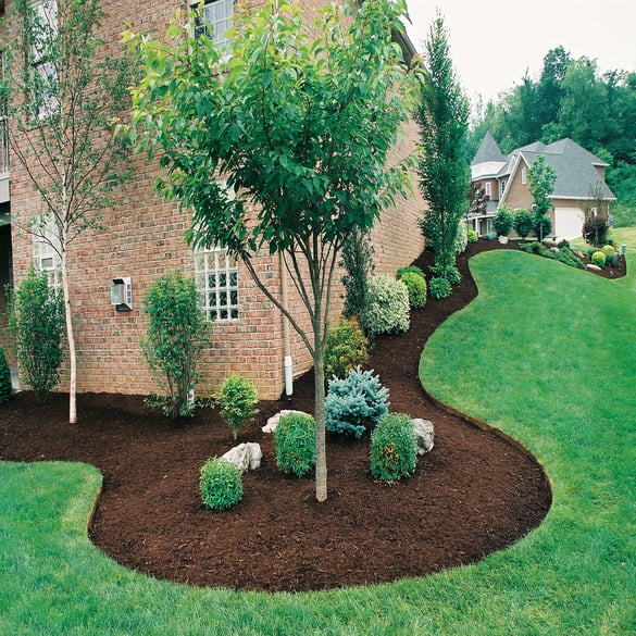 Landscaping | Lawn & Pest Control Xperts