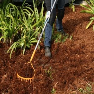 Mulching | Lawn & Pest Control Xperts