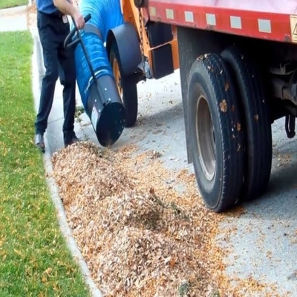 Leaf Removal | Lawn & Pest Control Xperts